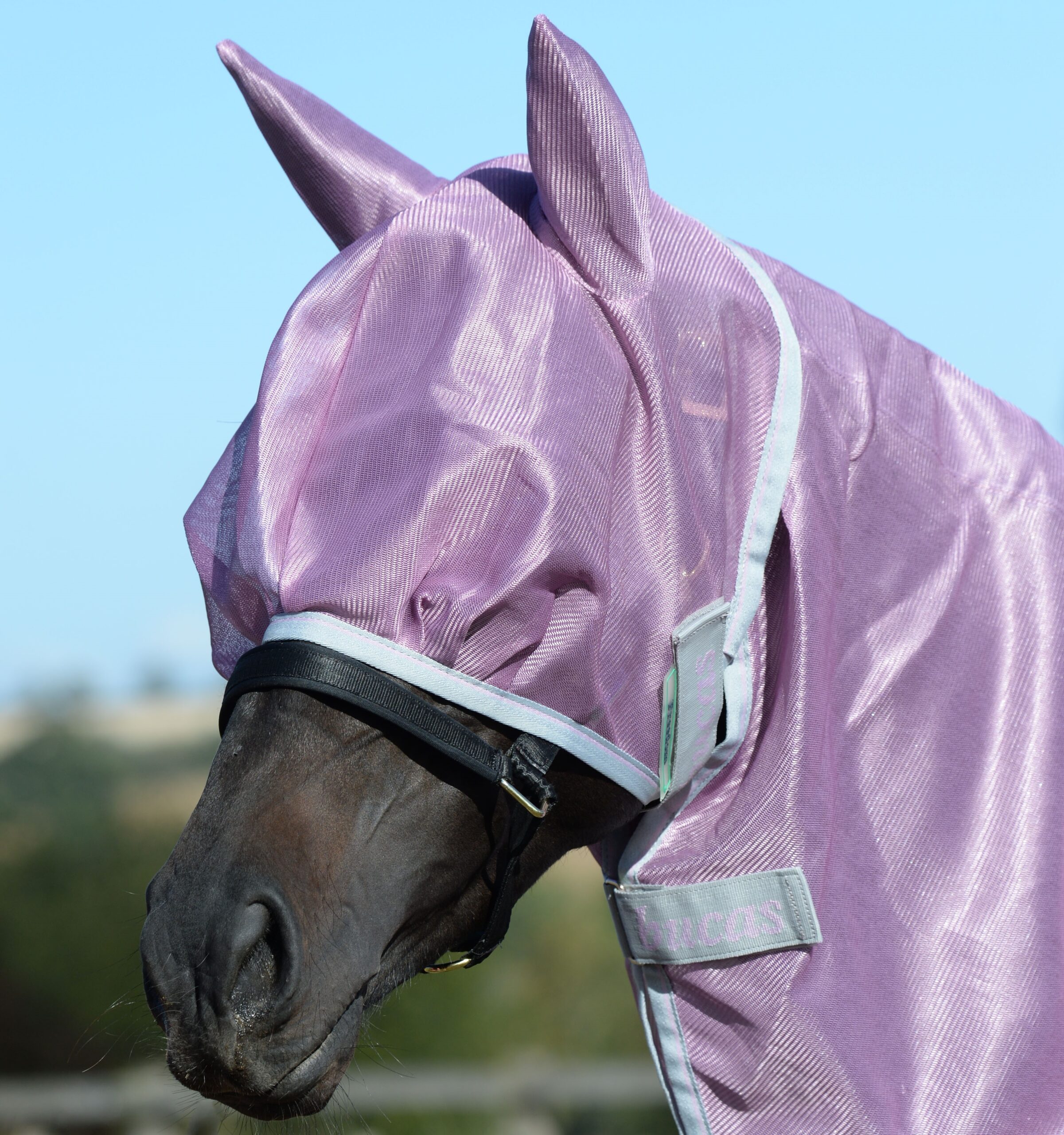 BUCAS BUZZ-OFF FREEDOM VLIEGENMASKER MAUVE