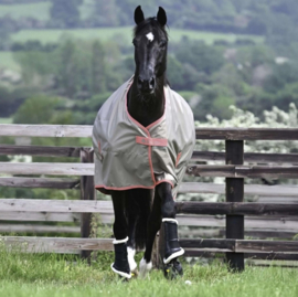 BUCAS FREEDOM TURNOUT LIGHT HAZELNUT 0G REGENDEKEN