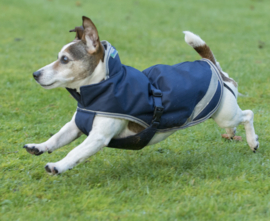 BUCAS FREEDOM TURNOUT DOG RUG NAVY