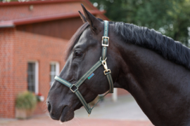 HALSTER BUCAS DUBLIN OPAL TAUPE PONY COB FULL