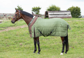 HARRY'S HORSE HIGHLINER 200 OLIVINE