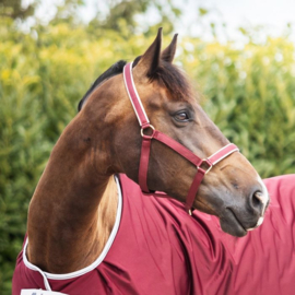 HALSTER BUCAS DUBLIN WINE PONY COB FULL