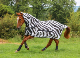 BUCAS BUZZ-OFF & NECK ZEBRA VLIEGENDEKEN MET LOSSE HALS