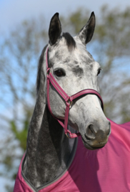 BUCAS FREEDOM TURNOUT LIGHT RASPBERRY 0G REGENDEKEN