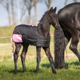HARRY'S HORSE VEULENDEKEN 200 GRAM PINK FOAL