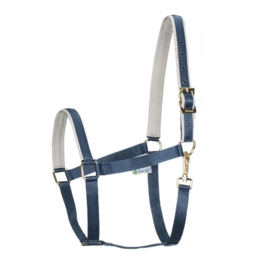BUCAS VEULENHALSTER DUBLIN HALTER FOAL NAVY