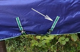 BUCAS SINGELBAND GROEN WIT NAVY PER METER