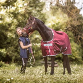 HALSTER BUCAS DUBLIN WINE PONY COB FULL