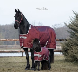 BUCAS ATLANTIC EXCLUSIVE TURNOUT LIGHT