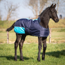 HARRY'S HORSE VEULENDEKEN 200 GRAM BLUE FOAL