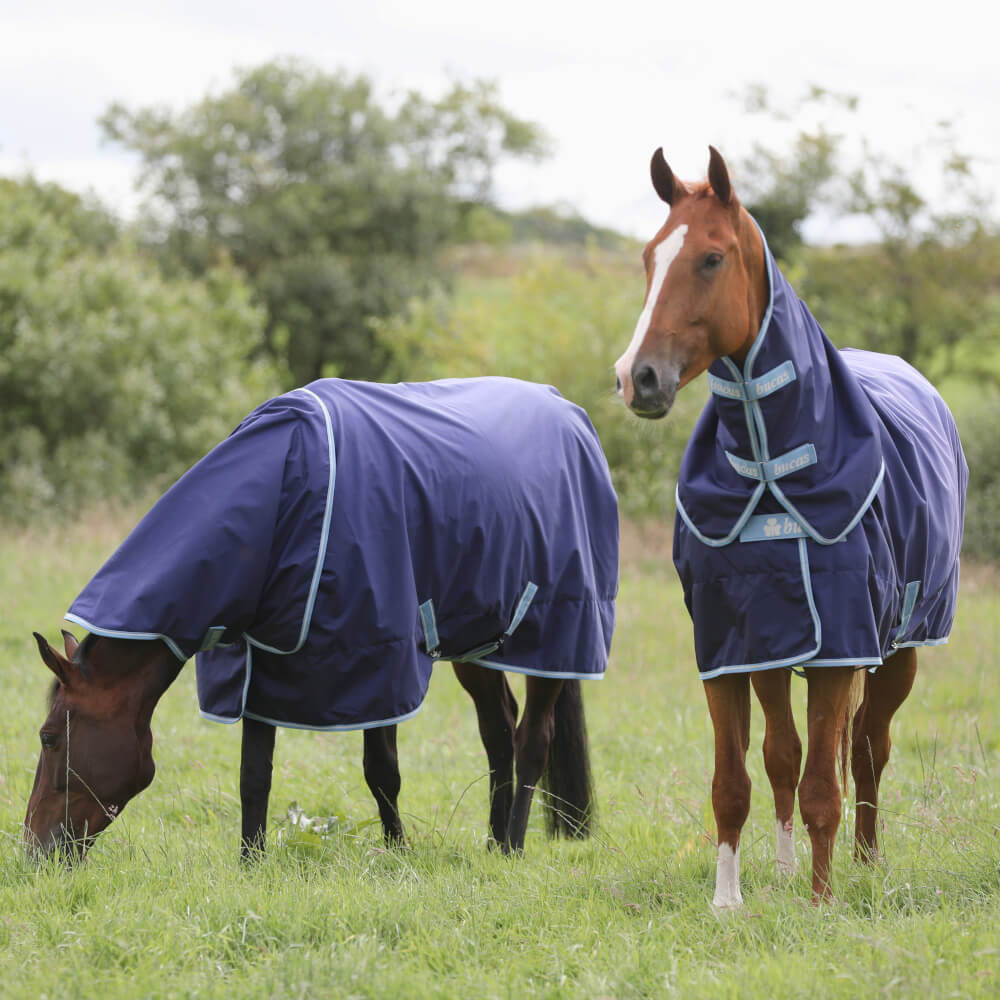 ATLANTIC EXCLUSIVE & NECK TURNOUT LIGHT