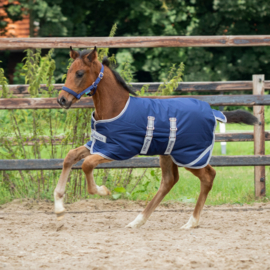 BUCAS FOAL TURNOUT DEKEN 50 GRAM VEULENDEKEN