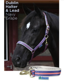 HALSTER BUCAS DUBLIN GRAPE PONY COB FULL
