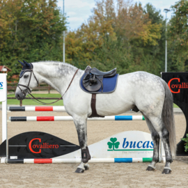 BUCAS SHOW LINE SADDLE PAD