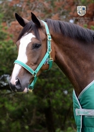 HALSTER BUCAS DUBLIN PINE GREEN PONY