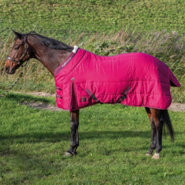 HARRY'S HORSE HIGHLINER 200 BEAUJOLAIS