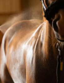 EXCELLENT HORSE ODOUR SPRAY