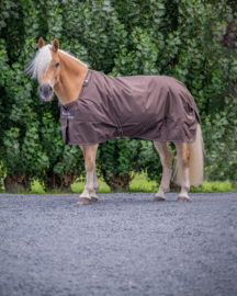 BUCAS IRISH TURNOUT & NECK 50 GRAM ESPRESSO