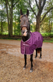 BUCAS FREEDOM TURNOUT LIGHT BLACKBERRY 0 G REGENDEKEN
