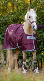 ATLANTIC EXCLUSIVE TURNOUT LIGHT