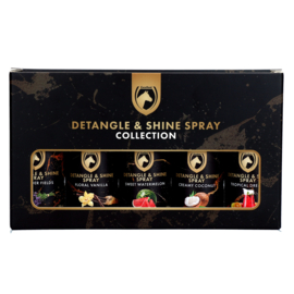 EXCELLENT HORSE DETANGLE & SHINE GIFT SET