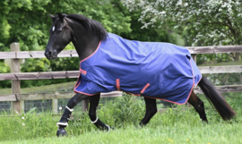 BUCAS FREEDOM TURNOUT LIGHT GRAPE 0G REGENDEKEN