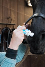 EXCELLENT HORSE SHIELD SPONS ON