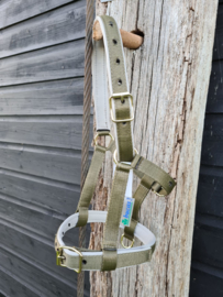 BUCAS VEULENHALSTER DUBLIN HALTER FOAL OLIVE