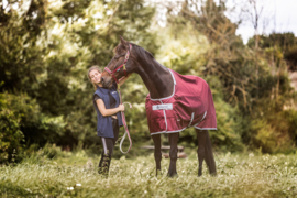 HALSTER BUCAS DUBLIN WINE PONY COB FULL