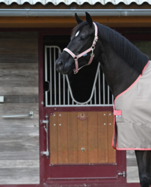 HALSTER BUCAS DUBLIN HAZELNUT PONY COB FULL
