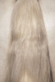 EXCELLENT HORSE HI GLOSS GEL 100 ML