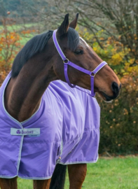 HALSTER BUCAS DUBLIN PURPLE HEART PONY