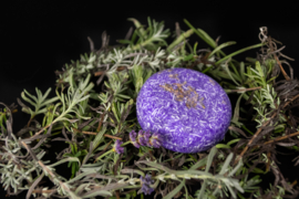 EXCELLENT HI GLOSS SHAMPOO BAR LAVENDEL