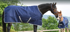 BUCAS VEULENHALSTER DUBLIN HALTER FOAL NAVY