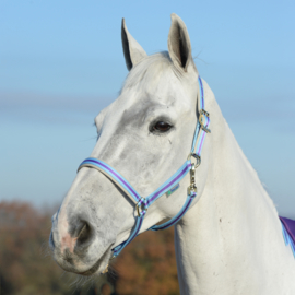 HALSTER BUCAS DUBLIN PURPLE BLUE PONY COB FULL