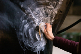 EXCELLENT HI GLOSS SHAMPOO BAR LAVENDEL