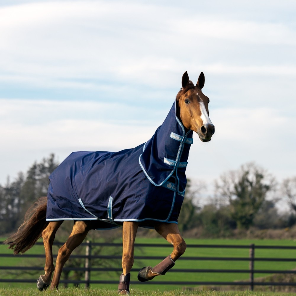 ATLANTIC EXCLUSIVE & NECK TURNOUT LIGHT