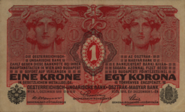 Austria-Hungary  P20 1 Korona 1916