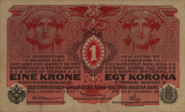 Oostenrijk-Hongarije  P20 1 Korona 1916