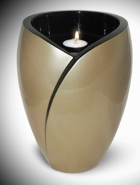 Parelmoer  Urn volwassene