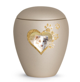 Urn voor grote hond