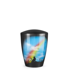 Regenboog urn kat