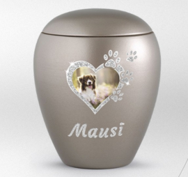 Urn voor grote hond