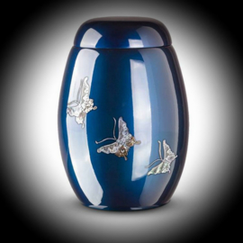 Volwassen Urn Parelmoer" Vlinder  Blue"