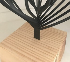 Mini urn met asbol en asbuisje 3D ( Ster )