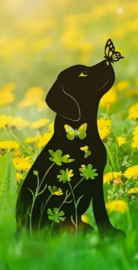 Hond grafdecoratie tuin