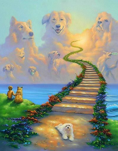 Honden-urnen-rainbow-bridge-overleden hond