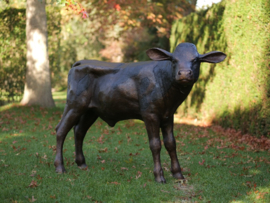 Tuinbeeld brons - Bronzen beeld - Kalf - bronzartes