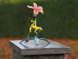Tuinbeeld - bronzen beeld - Kikker op bloem - Bronzartes - 20 cm hoog