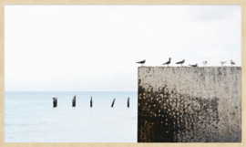 schilderij Forex met blanke lijst | 118x70cm | Summer Time 010 | meeuwen die uitkijken op een strak blauwe zee